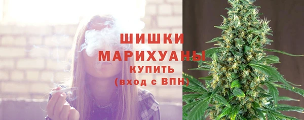 spice Беломорск