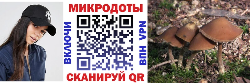 закладки  Билибино  Псилоцибиновые грибы Magic Shrooms 